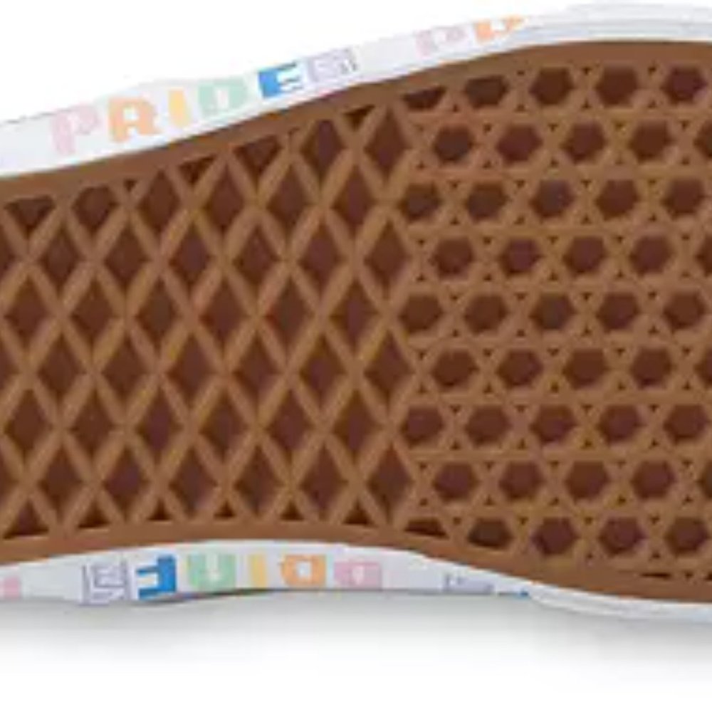 Vans Classic Slip On  SK8 Pride LBGTQ+ Shoe Men's Size 10 Women's 11.5 NEW - Picture 4 of 4